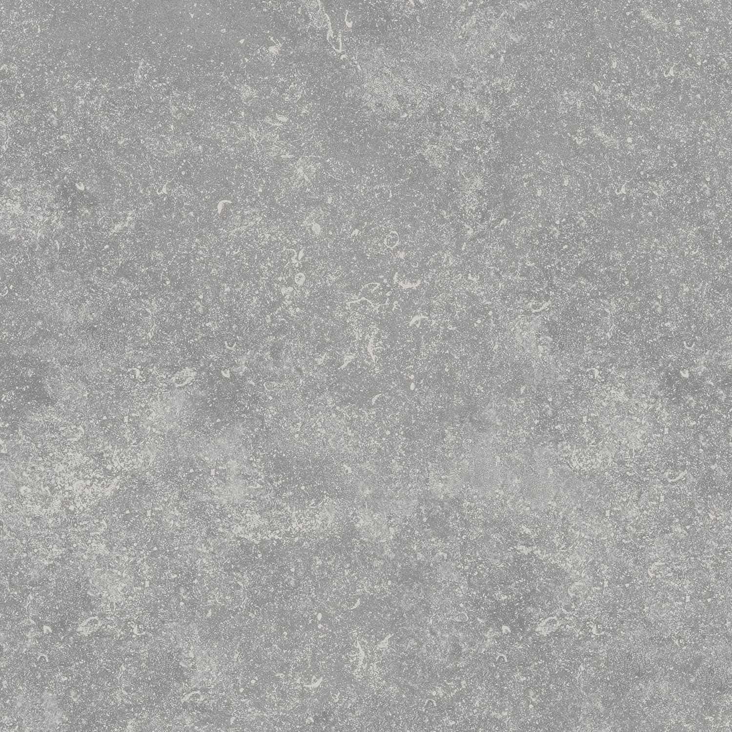Close-up of Benelux Gray Matte 24x24x2cm Rectified Porcelain Paver. Features a subtle gray tone with delicate veining and a smooth matte finish, ideal for modern hardscape projects. Durable porcelain from the Porcelain Pavers collection.