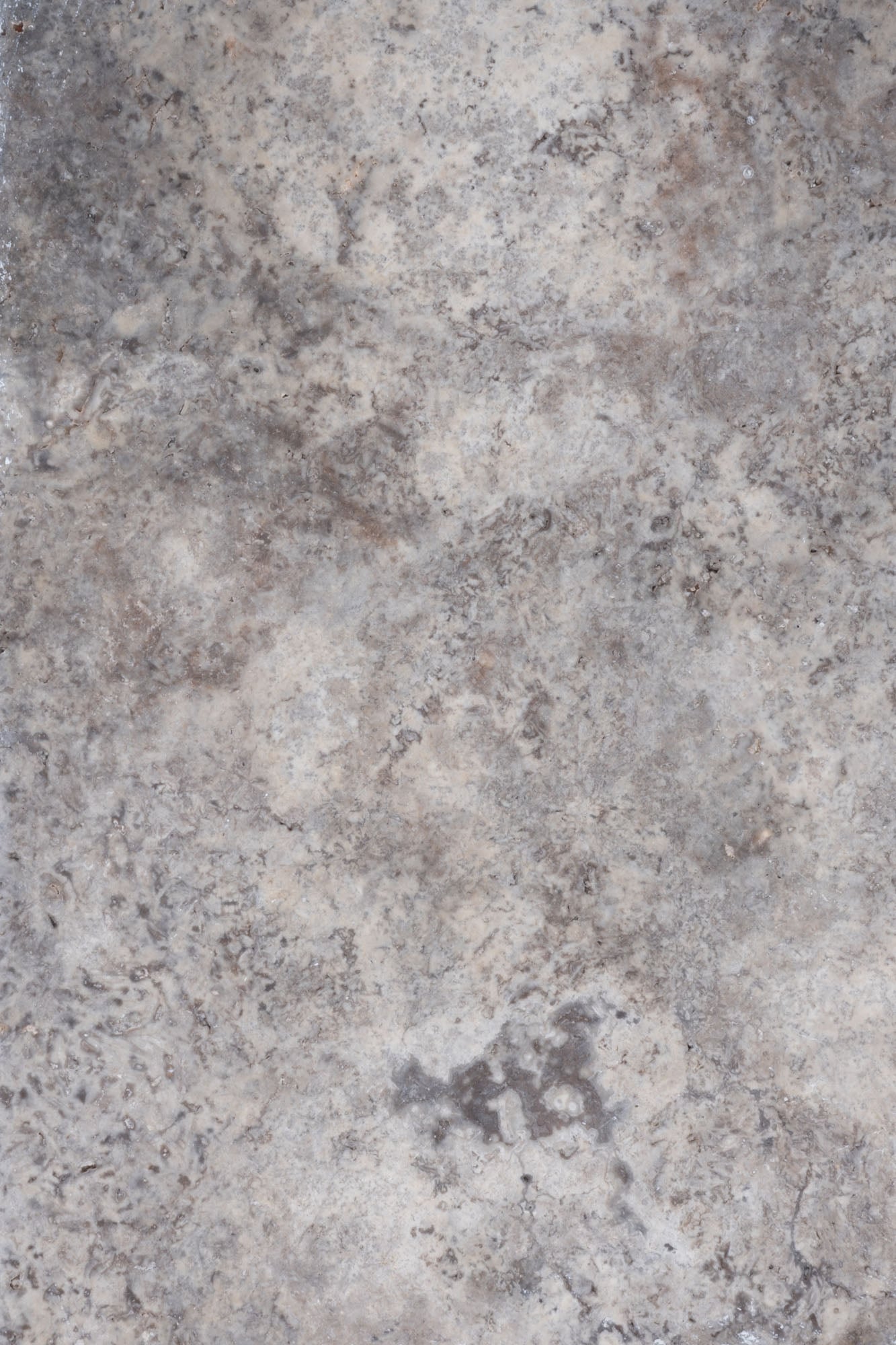 Silver Travertine Tumbled 16x24 3cm Paver - Premium