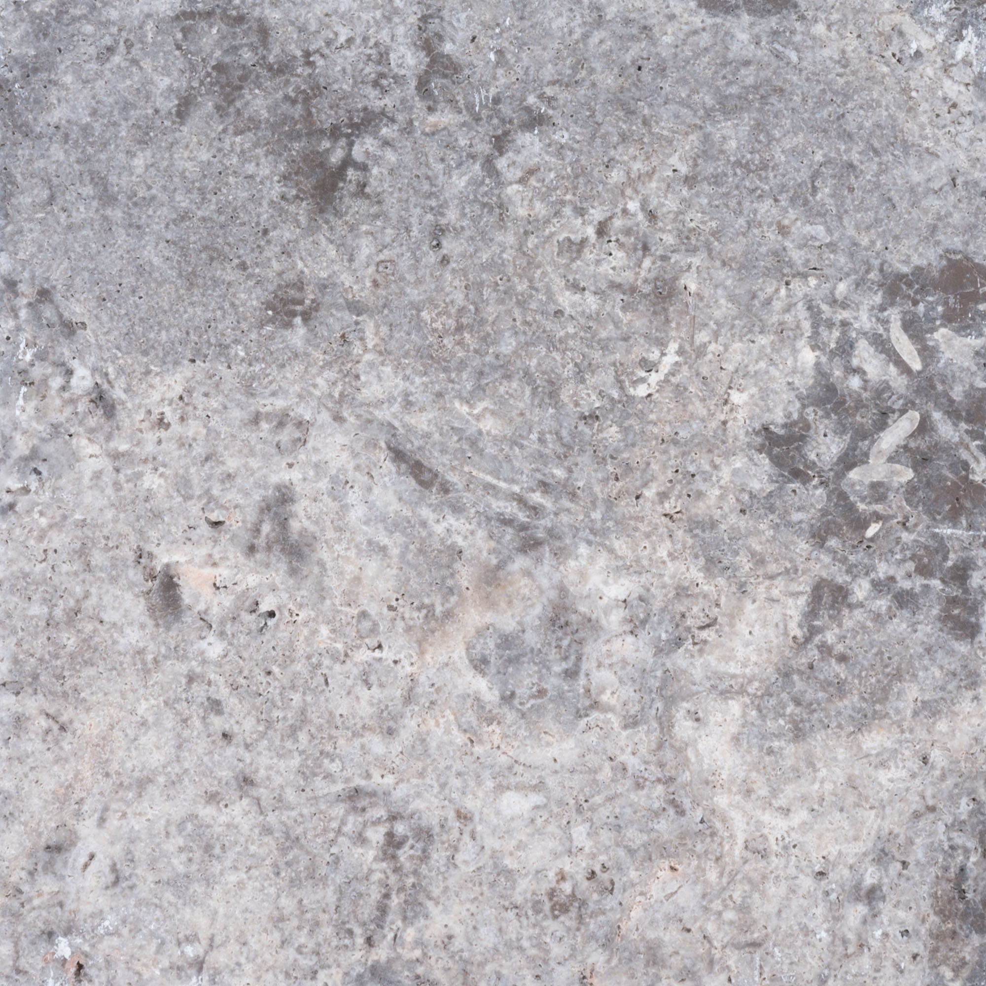 Silver Travertine Tumbled 24x24 3cm Paver - Premium