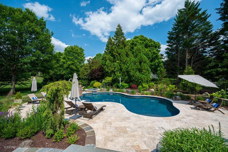 A luxurious backyard with a curvy swimming pool surrounded by lush greenery, Philly Travertine Pavers and Copings, lounge chairs, and umbrellas under a clear blue sky.